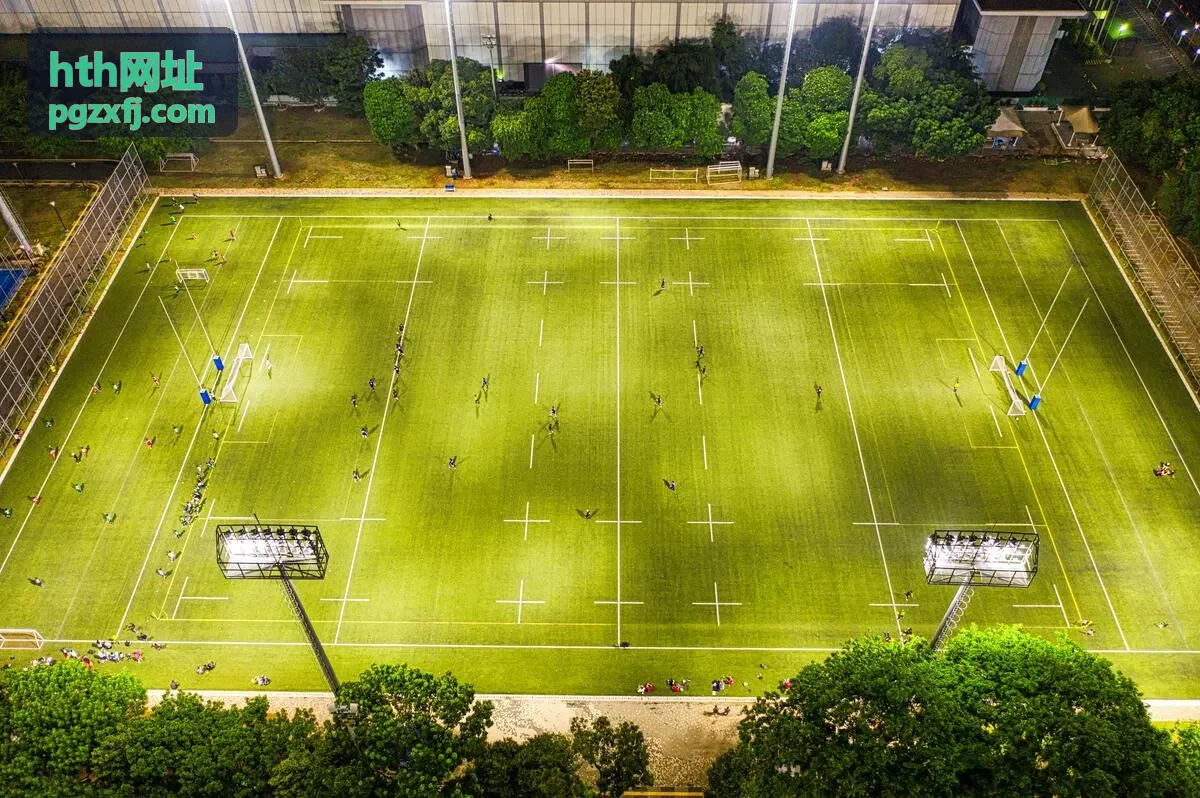 hth网址 访问异常类问题入口图示